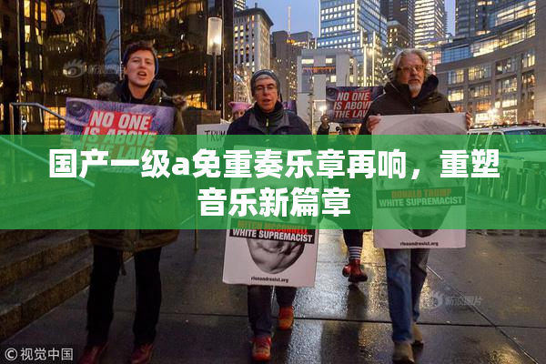 国产一级a免重奏乐章再响，重塑音乐新篇章