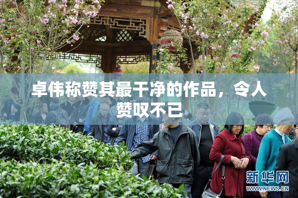 卓伟称赞其最干净的作品，令人赞叹不已