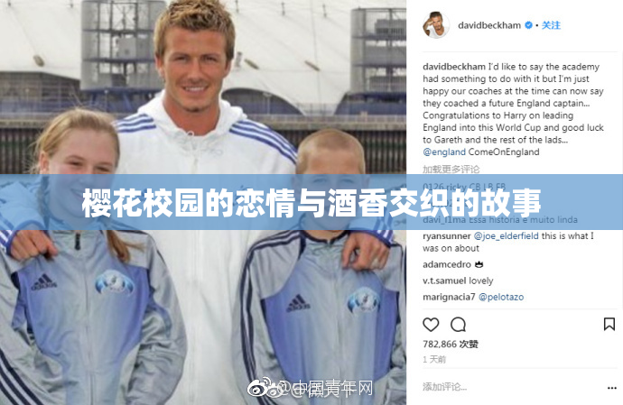 樱花校园的恋情与酒香交织的故事