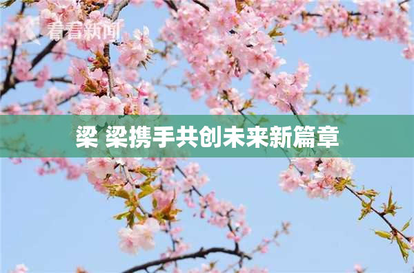 梁 梁携手共创未来新篇章