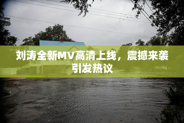 刘涛全新MV高清上线，震撼来袭引发热议