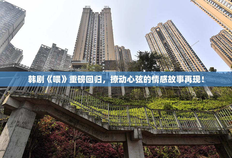 韩剧《喂》重磅回归，撩动心弦的情感故事再现！