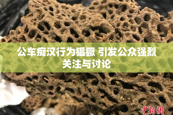 公车痴汉行为猖獗 引发公众强烈关注与讨论