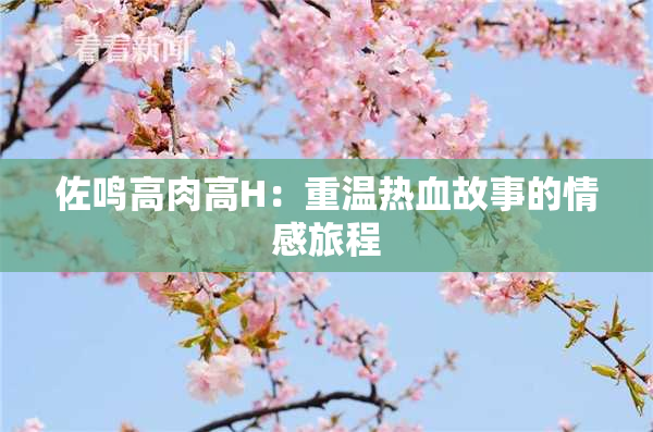 佐鸣高肉高H：重温热血故事的情感旅程