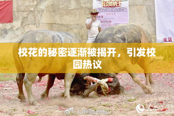 校花的秘密逐渐被揭开，引发校园热议