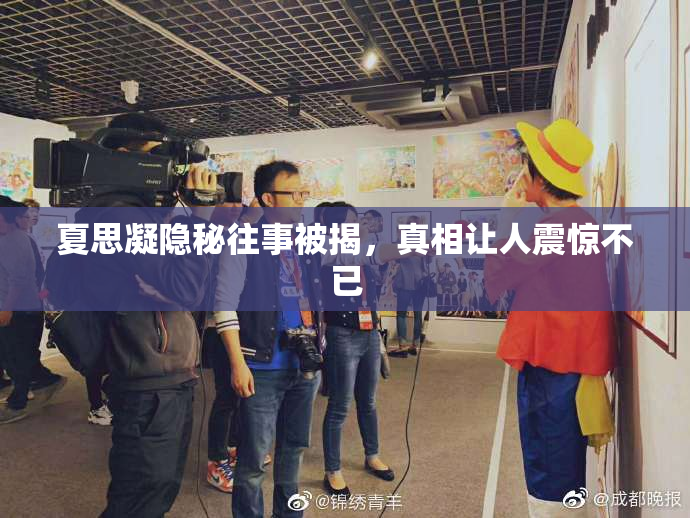 夏思凝隐秘往事被揭，真相让人震惊不已