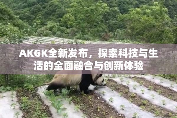 AKGK全新发布，探索科技与生活的全面融合与创新体验