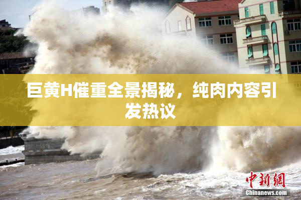 巨黄H催重全景揭秘，纯肉内容引发热议