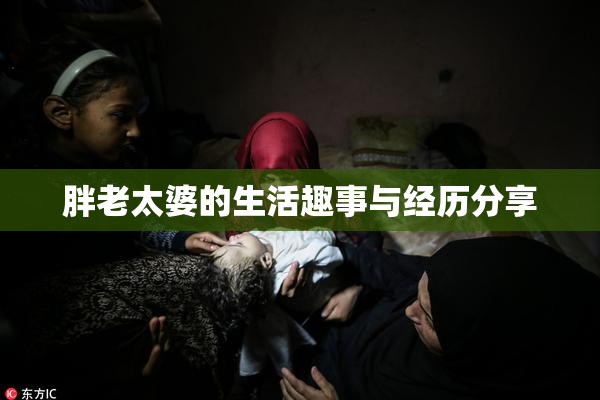 胖老太婆的生活趣事与经历分享