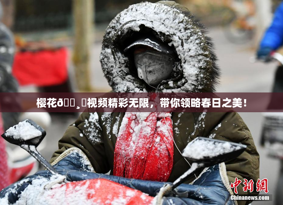 樱花🌸‌视频精彩无限，带你领略春日之美！