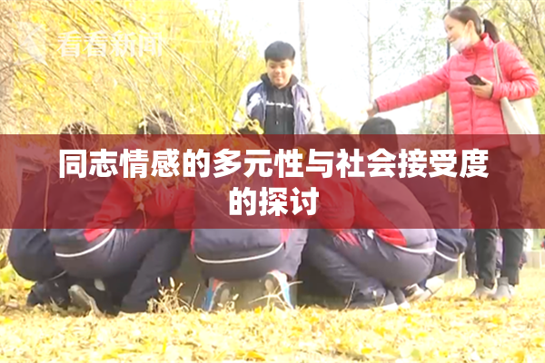 同志情感的多元性与社会接受度的探讨