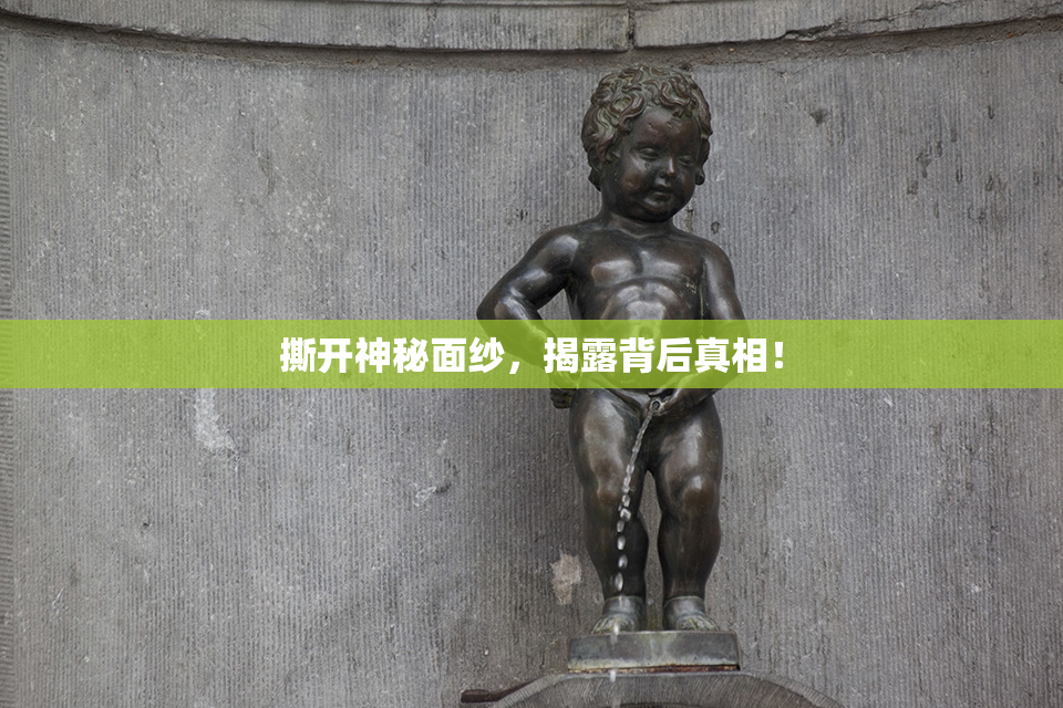 撕开神秘面纱，揭露背后真相！