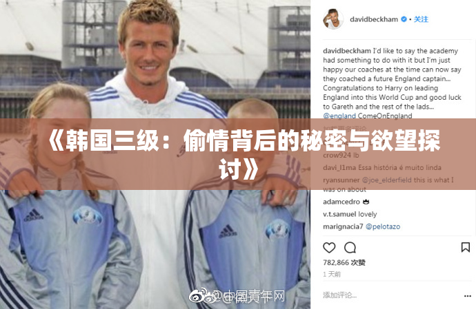 《韩国三级：偷情背后的秘密与欲望探讨》