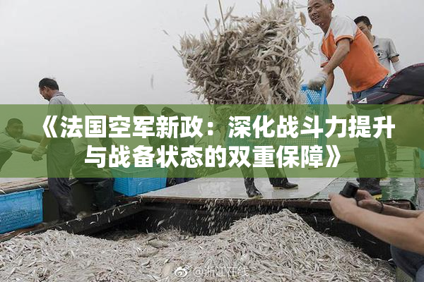 《法国空军新政：深化战斗力提升与战备状态的双重保障》