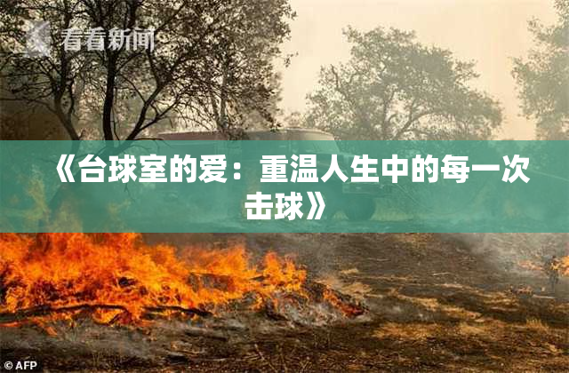 《台球室的爱：重温人生中的每一次击球》