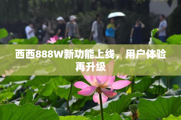 西西888W新功能上线，用户体验再升级