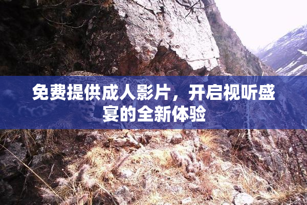免费提供成人影片，开启视听盛宴的全新体验
