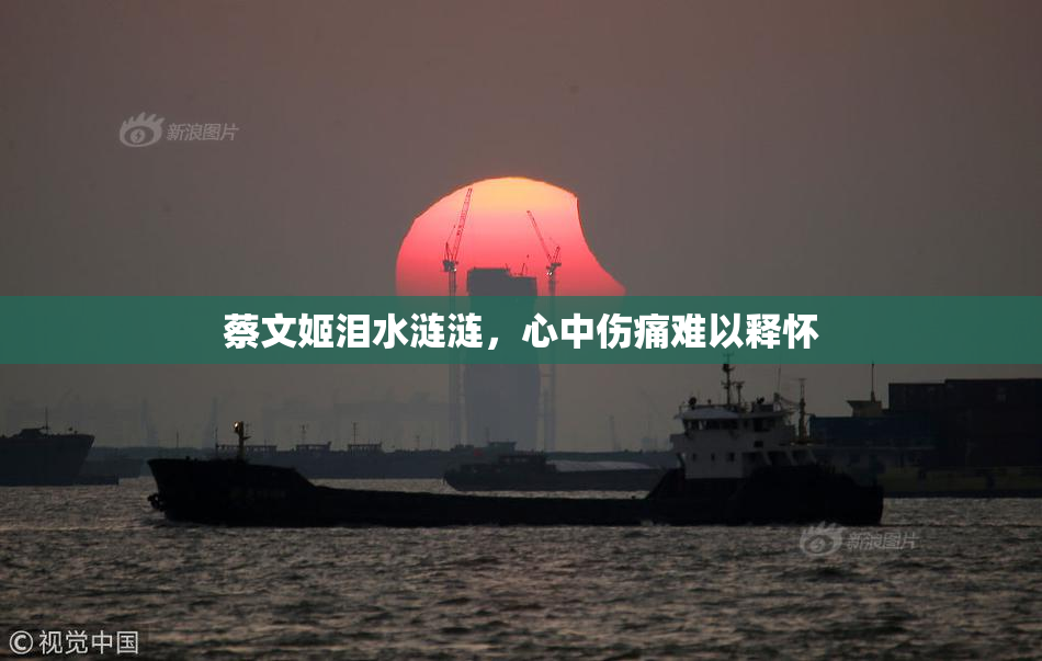 蔡文姬泪水涟涟，心中伤痛难以释怀
