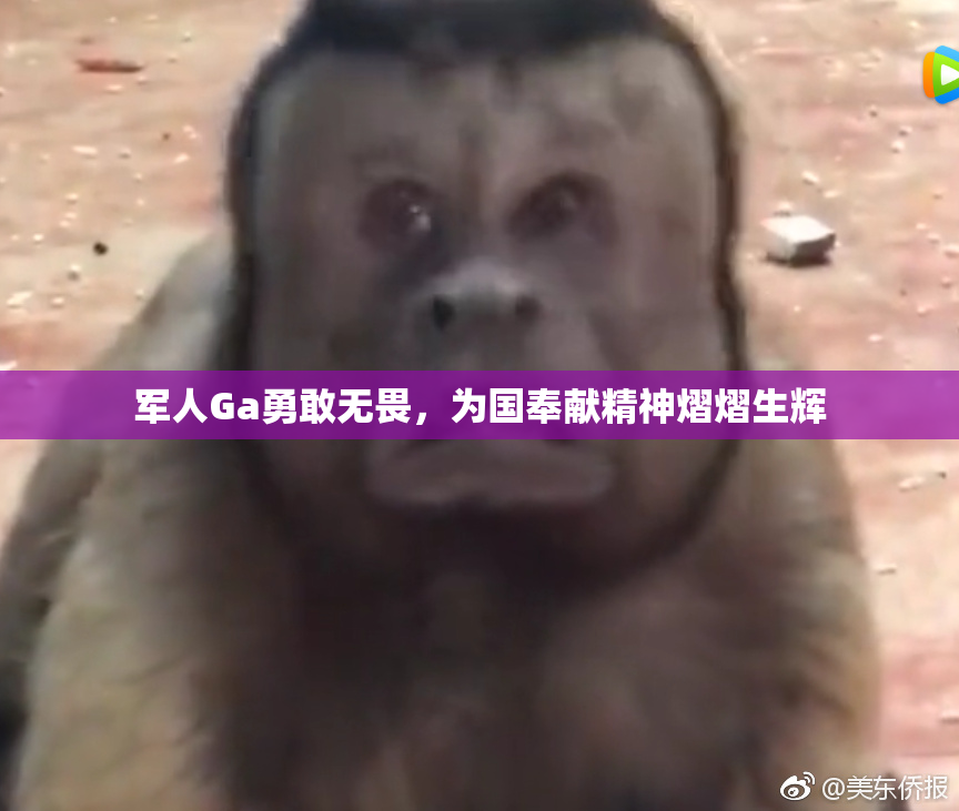 军人Ga勇敢无畏，为国奉献精神熠熠生辉