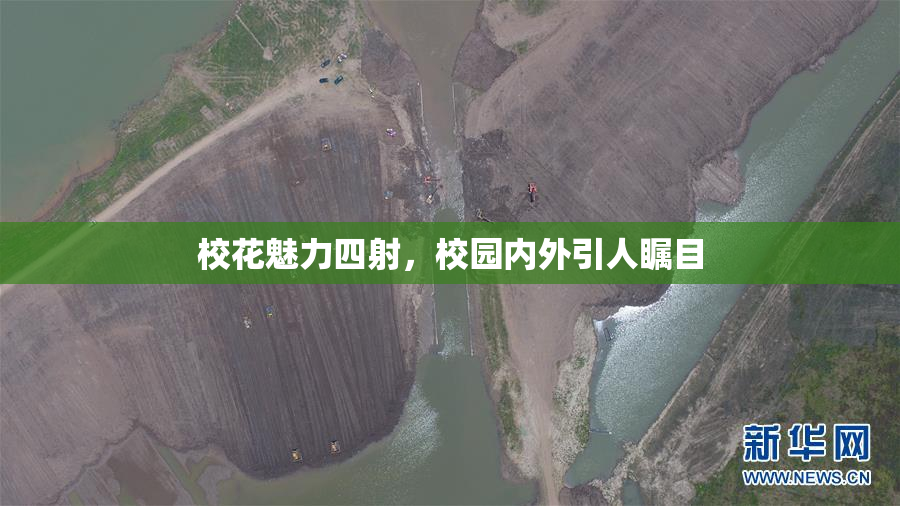 校花魅力四射，校园内外引人瞩目
