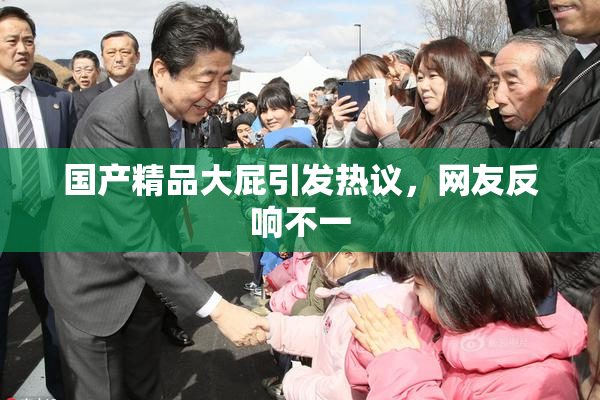 国产精品大屁引发热议，网友反响不一
