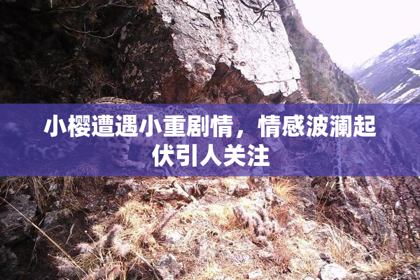 小樱遭遇小重剧情，情感波澜起伏引人关注