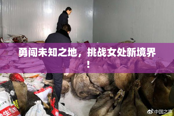 勇闯未知之地，挑战女处新境界！