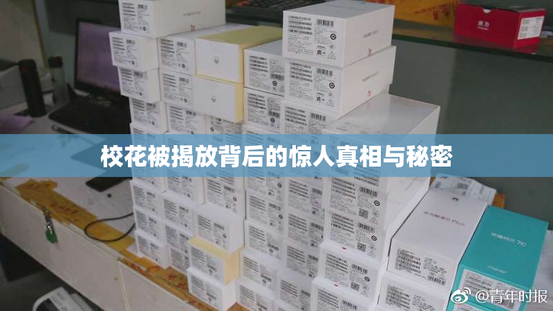 校花被揭放背后的惊人真相与秘密