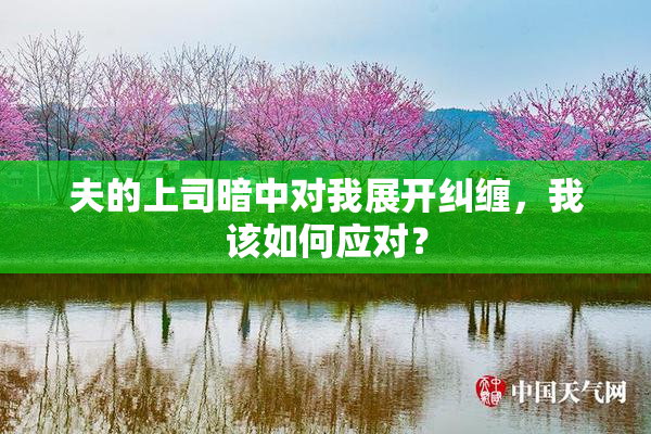 夫的上司暗中对我展开纠缠，我该如何应对？