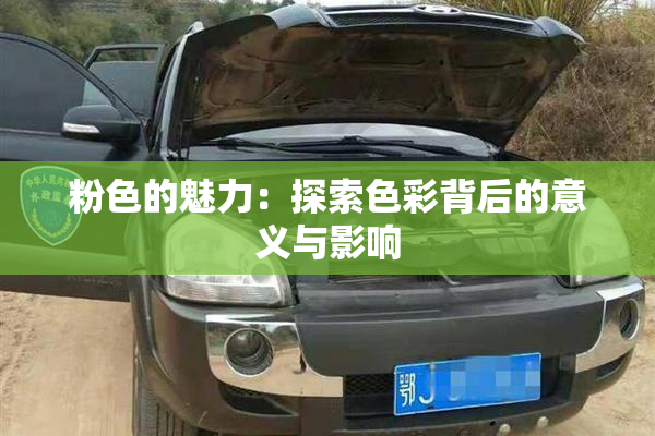 粉色的魅力：探索色彩背后的意义与影响