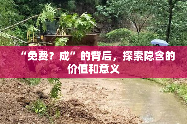 “免费？成”的背后，探索隐含的价值和意义