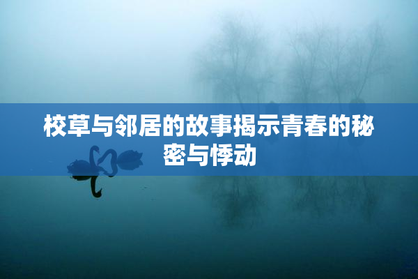 校草与邻居的故事揭示青春的秘密与悸动