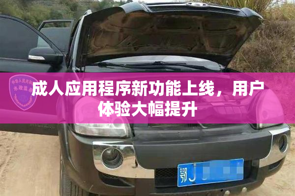 成人应用程序新功能上线，用户体验大幅提升