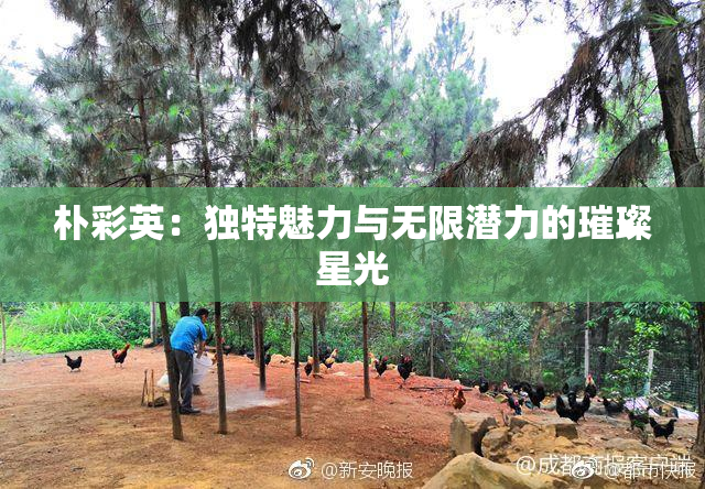 朴彩英：独特魅力与无限潜力的璀璨星光