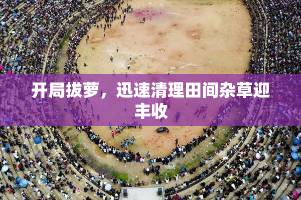 开局拔萝，迅速清理田间杂草迎丰收