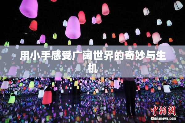 用小手感受广阔世界的奇妙与生机