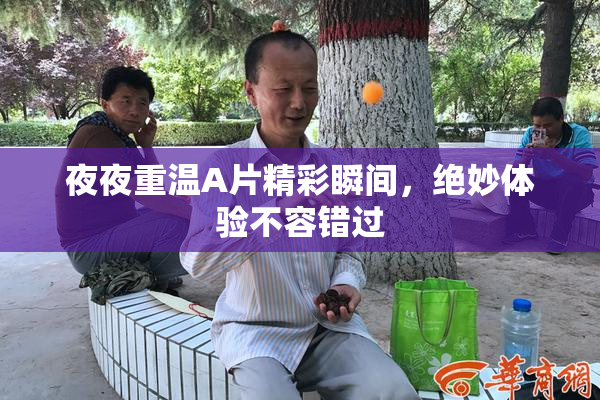 夜夜重温A片精彩瞬间，绝妙体验不容错过