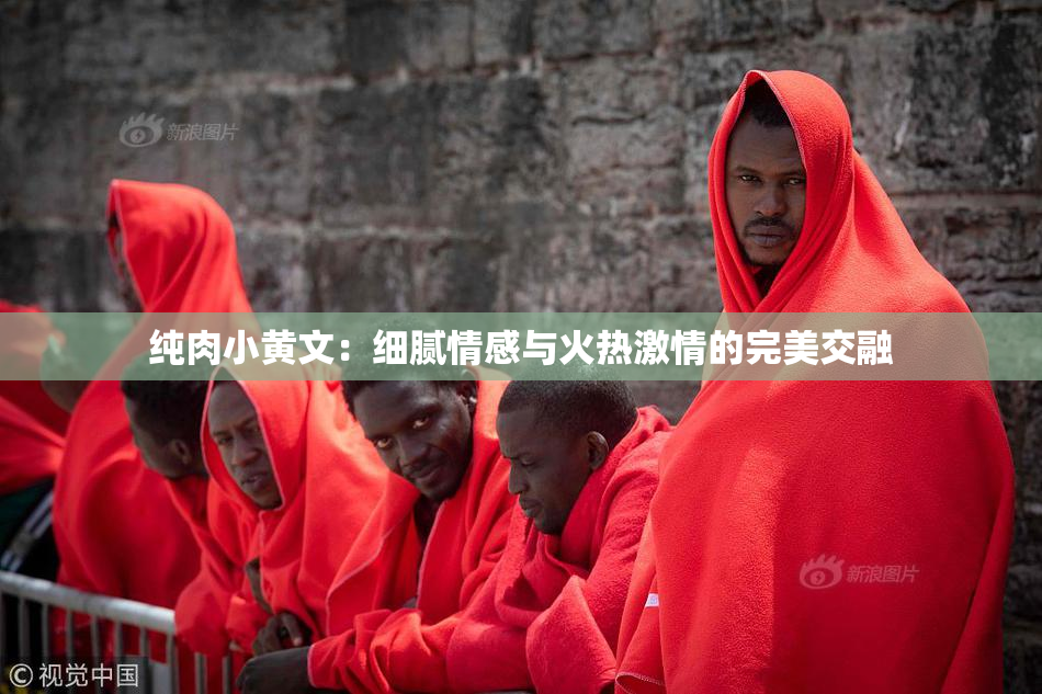 纯肉小黄文：细腻情感与火热激情的完美交融