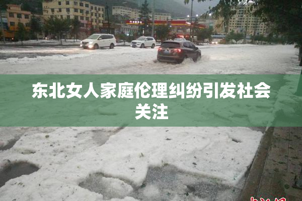 东北女人家庭伦理纠纷引发社会关注