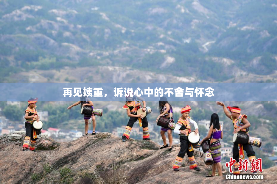 再见姨重，诉说心中的不舍与怀念