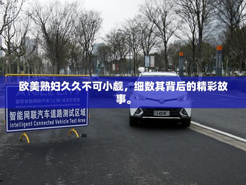 欧美熟妇久久不可小觑，细数其背后的精彩故事。