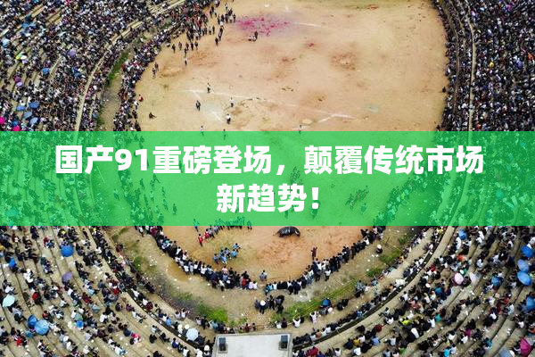 国产91重磅登场，颠覆传统市场新趋势！