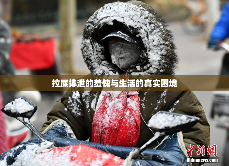拉屎排泄的羞愧与生活的真实困境