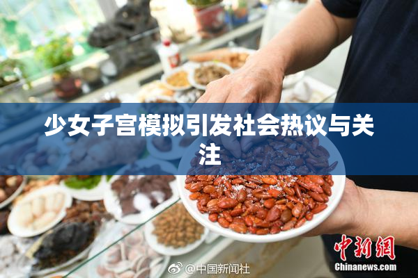 少女子宫模拟引发社会热议与关注