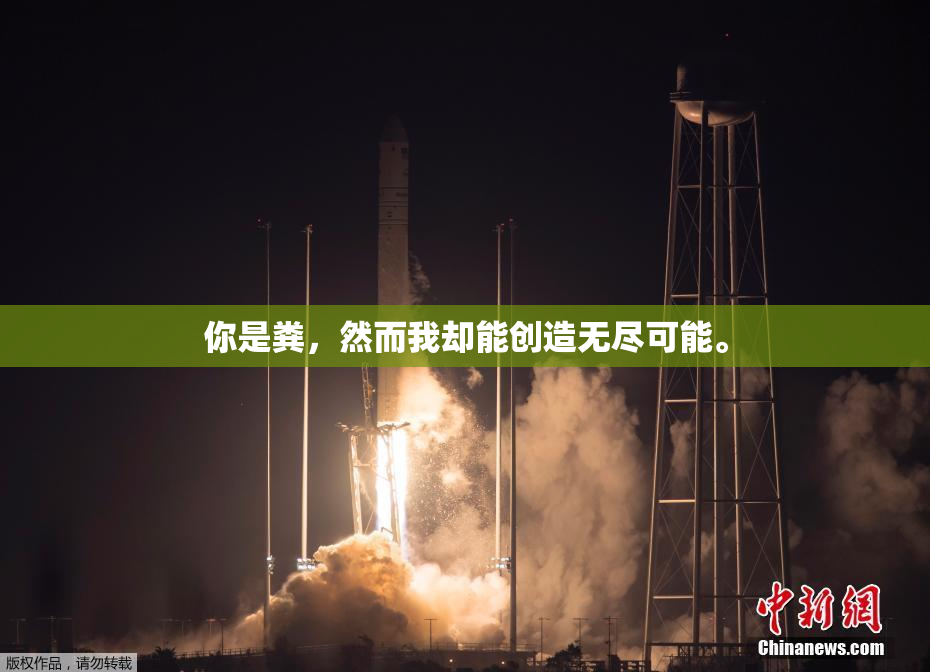 你是粪，然而我却能创造无尽可能。