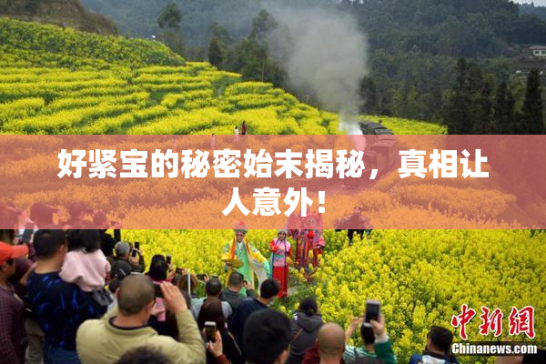 好紧宝的秘密始末揭秘，真相让人意外！