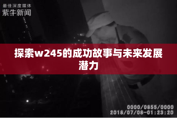 探索w245的成功故事与未来发展潜力