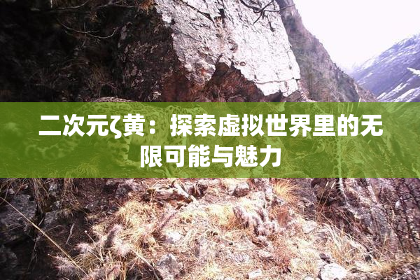 二次元ζ黄：探索虚拟世界里的无限可能与魅力