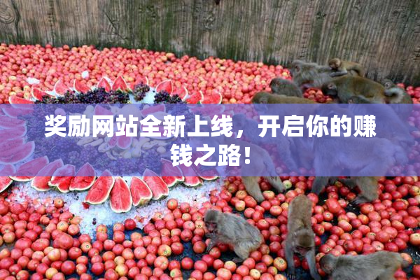 奖励网站全新上线，开启你的赚钱之路！