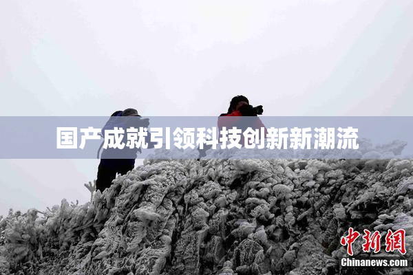 国产成就引领科技创新新潮流